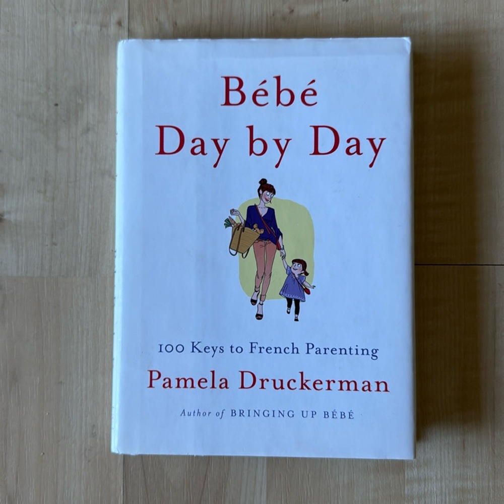 Bebe Day By Day book by pamela druckerman hardcover parenting book EUC